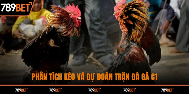 Phân tích kèo và dự đoán trận đá gà C1